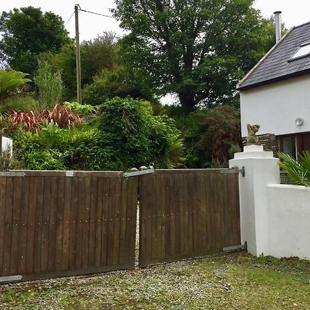 Fernery Garden Cottage, Near Skibbereen Exterior photo